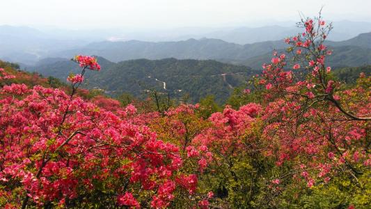 歙縣：高山好風(fēng)景 引客促脫貧